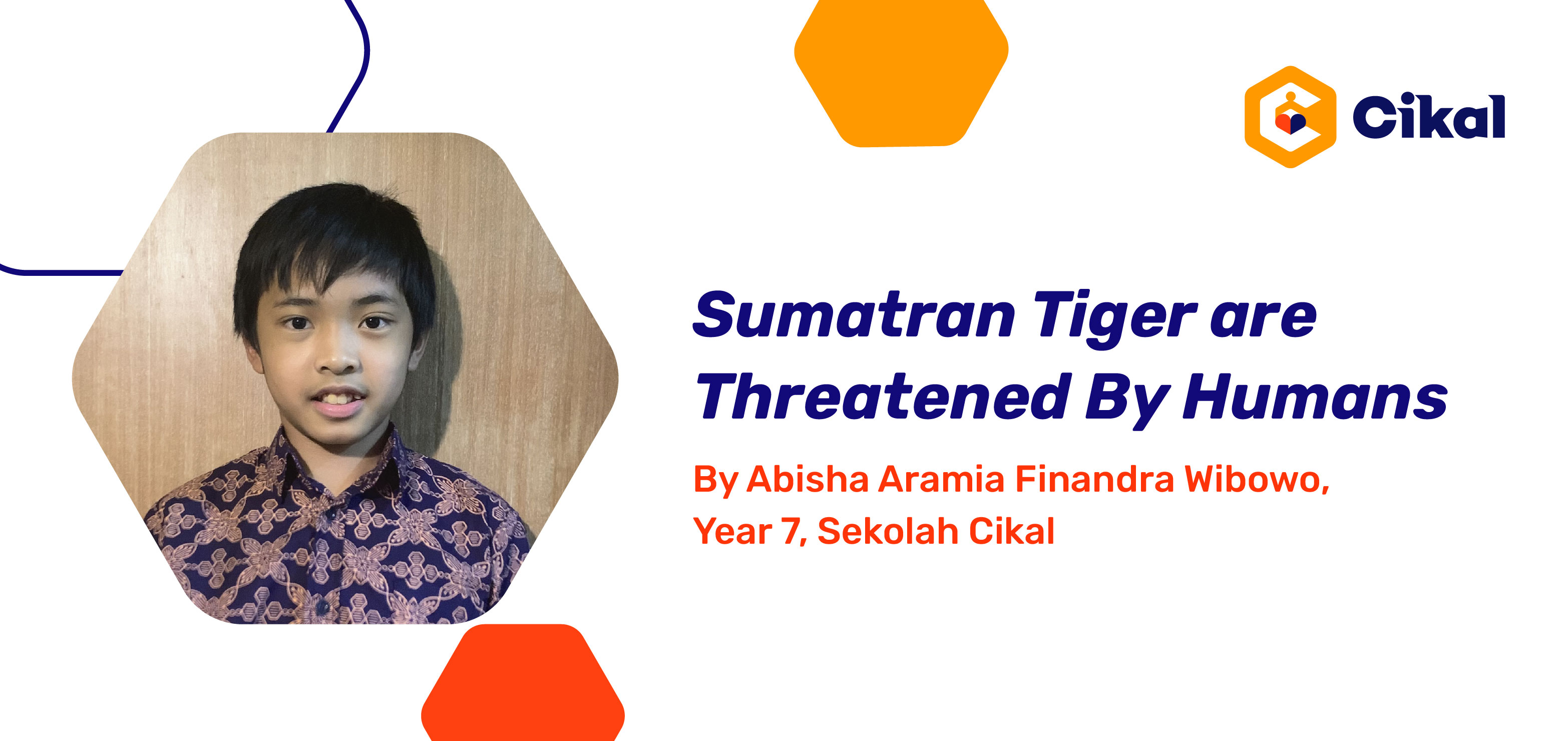 Sumatran Tiger are Threatened By Humans By Abisha Aramia Finandra Wibowo, Year 7, Sekolah Cikal