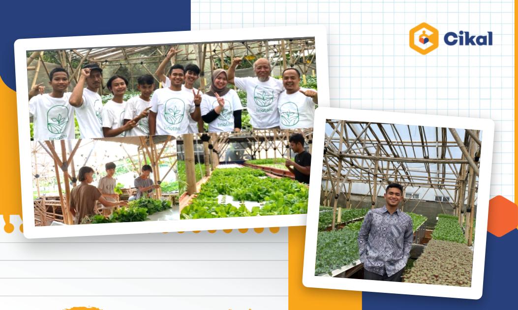 Cerita Dafa, Alumnus Cikal Amri Setu, Pendiri dan CEO LinoTani   Perusahaan Produsen Sayur-Sayuran Ramah Lingkungan